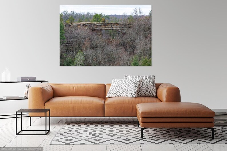 May include: A brown leather sectional sofa with a matching ottoman in a living room setting. The sofa has two white and gray patterned throw pillows. A black metal side table is in the foreground. A framed photograph of a natural rock formation in a wooded area hangs on the wall behind the sofa.
