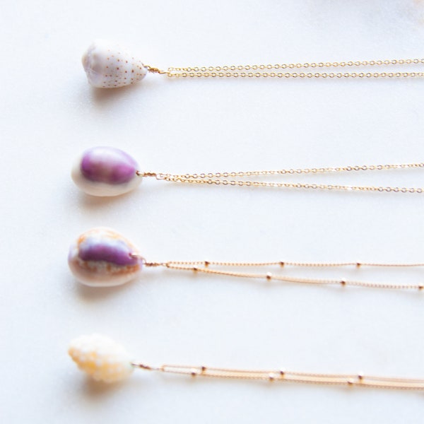 Seashell & Gold Satellite Necklaces