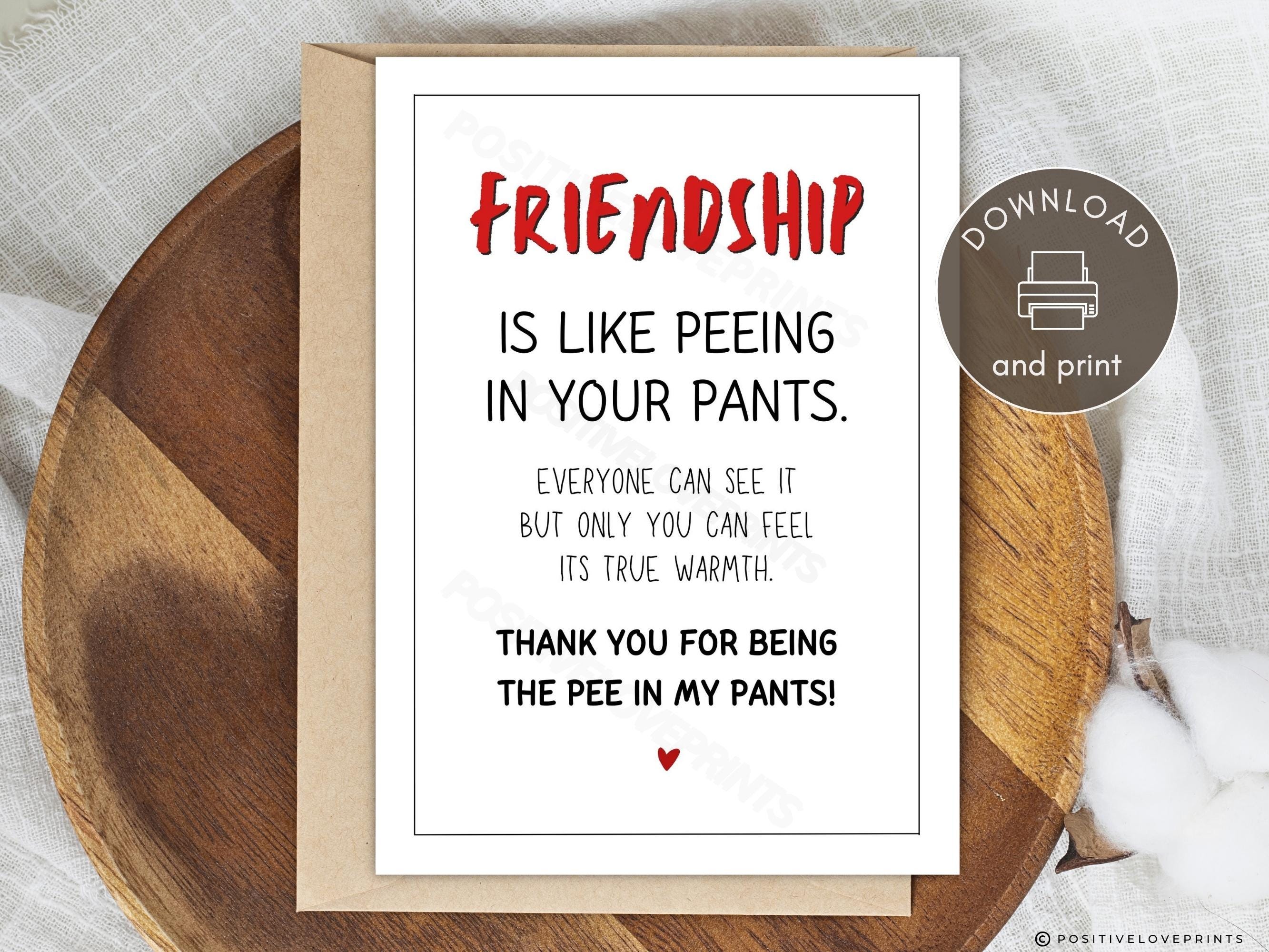Cartello vintage in legno con scritta Friendship Is Like Peeing Your Pants.everyone Can See It, decorazione da parete rustica per soggiorno, casa, uomo, grotta, giardino, 20,3 x 20,3 cm