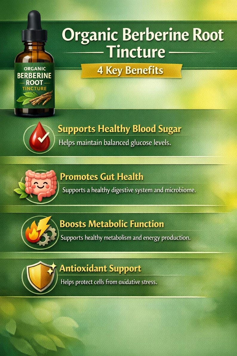 Organic Berberine HCL Tincture | Cinnamon & Mango Leaf | Herbal Metabolic Wellness Support | Plant-Based Liquid Extract immagine 1