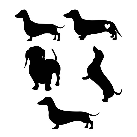 Download 88+ Vector Dachshund Illustration - l2sanpiero