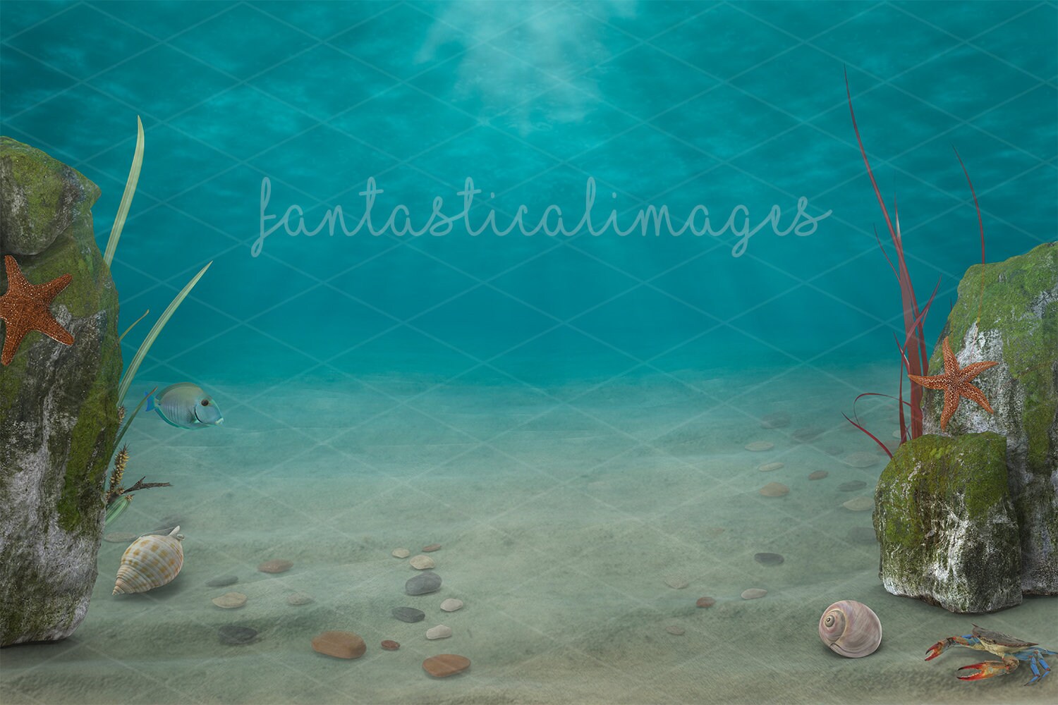 Under The Sea Zoom Background ubicaciondepersonas.cdmx.gob.mx