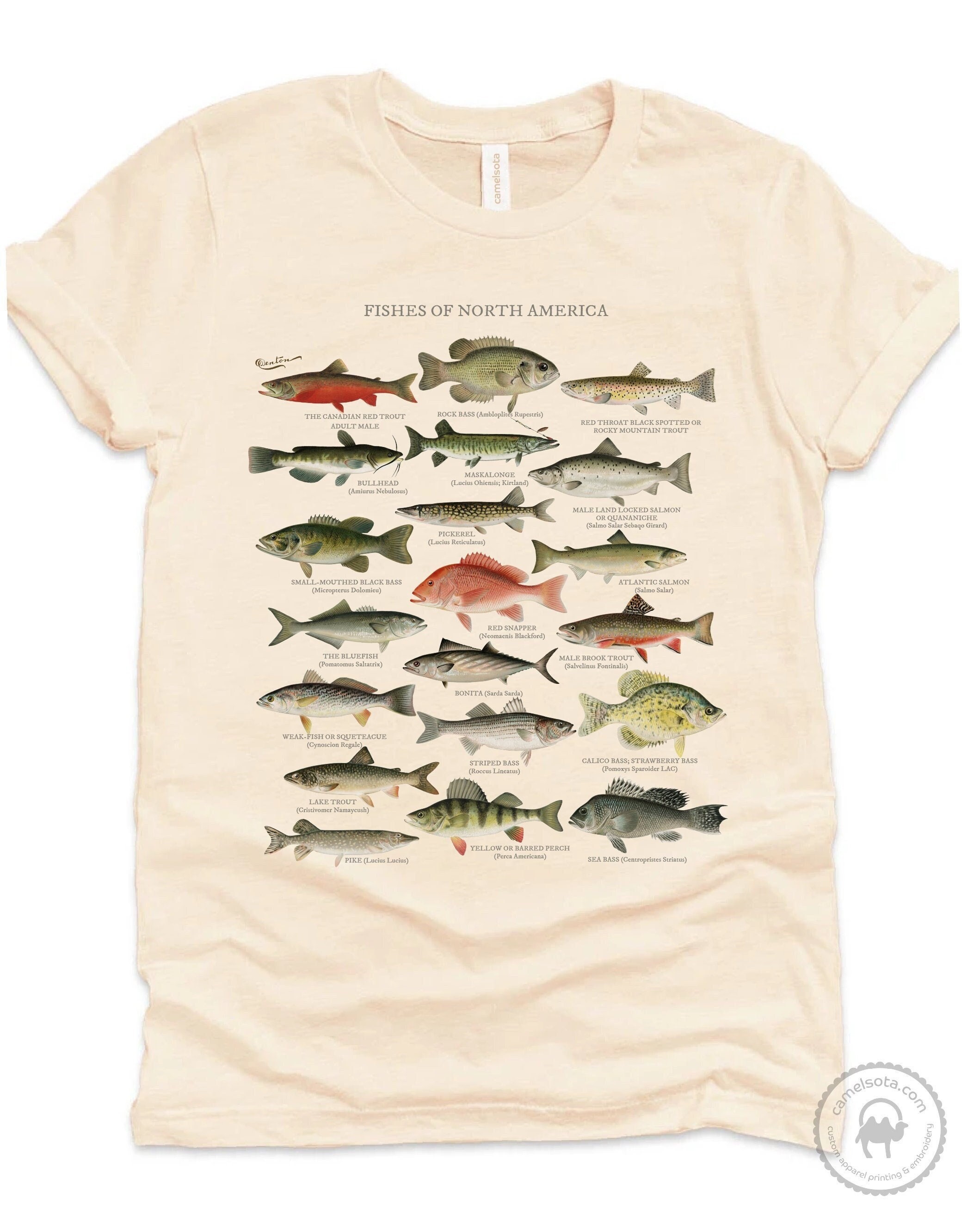 North American Fish Shirt, Fisherman Gift, Lake Outdoorsman Naturalist, Fly  Fishing, Bass, Trout, Pike, Salmon, Pickerel, Perch, Red Snapper -   Canada