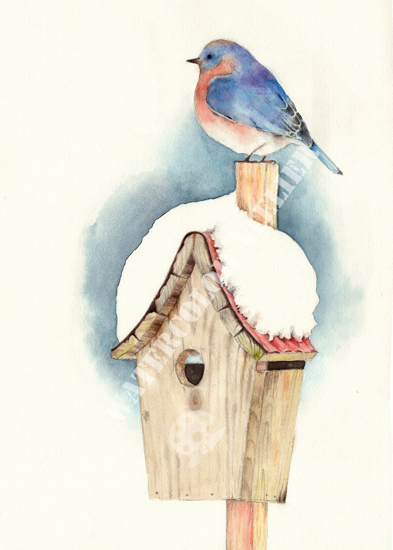 А Bird on a Bird's House-eastern Bluebird, Watercolor Giclee Print