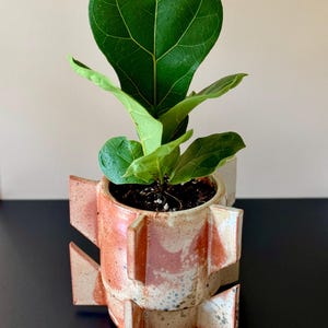 Op de afbeelding: Een kleine vioolbladplant in een cilindervormige keramische plantenbak. De pot heeft een gespikkeld crème en terracotta glazuur met vier uitstekende driehoekige vinnen aan de zijkanten, wat zorgt voor een geometrisch silhouet.