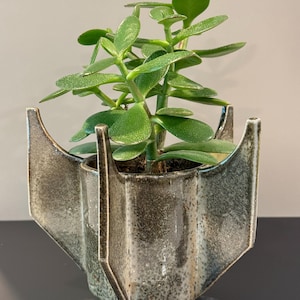 May include: A green jade plant potted in a dark gray ceramic planter with a distinct rocket-like shape featuring three prominent, angular fins extending from the sides. The ceramic surface has a mottled, textured finish with lighter gray highlights.