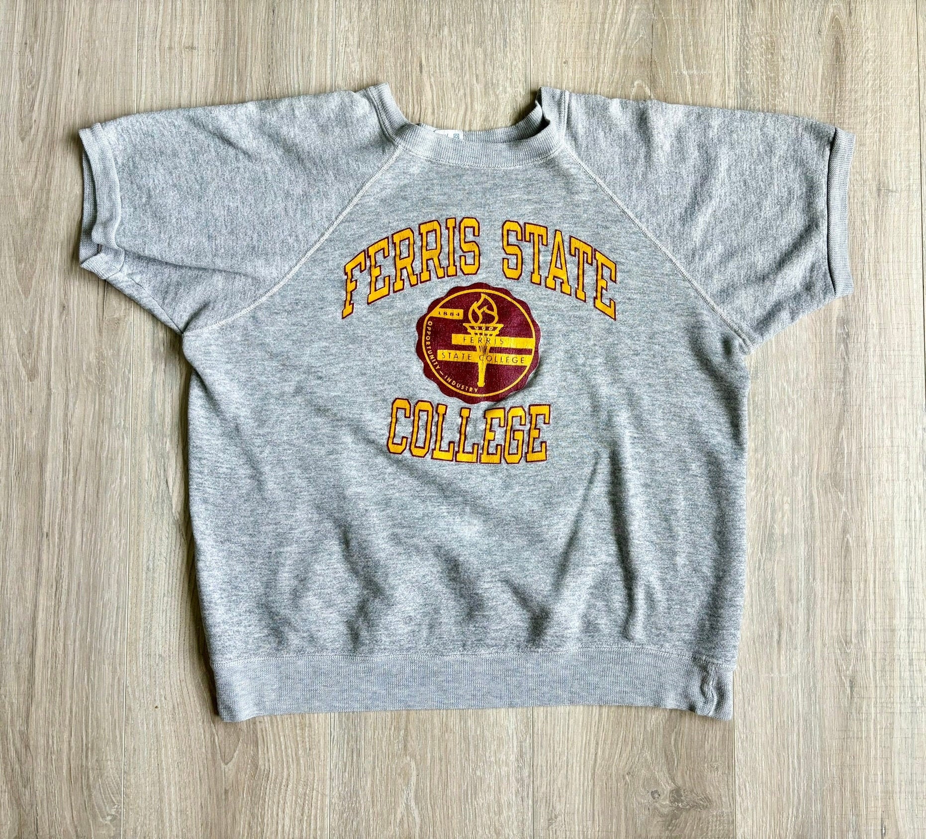 Ferris state sweatshirt hotsell
