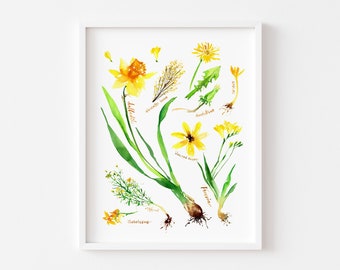 Watercolor Art Giclee Print - Botanical Rainbow series in Yellow