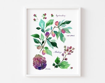 Watercolor Art Giclee Print - Botanical Rainbow series in Purple