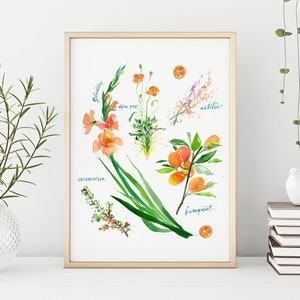 Op de afbeelding: Waterverfillustratie van verschillende bloemen en planten, waaronder gladiolen, alpenpapaver, astilbe, cotoneaster en kumquat. De illustratie bevindt zich in een wit frame op een witte achtergrond.