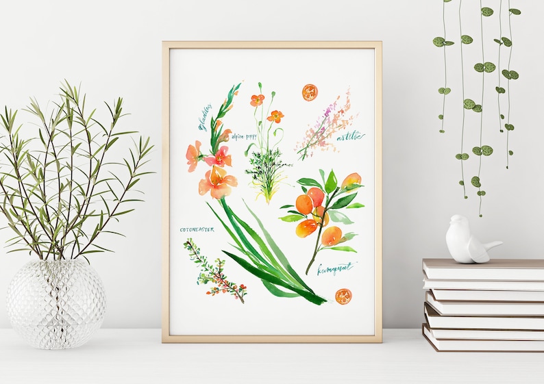 Op de afbeelding: Waterverfillustratie van verschillende bloemen en planten, waaronder gladiolen, alpenpapaver, astilbe, cotoneaster en kumquat. De illustratie bevindt zich in een wit frame op een witte achtergrond.