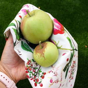 May include: Two green apples with brown spots on a white fabric with a floral pattern. The fabric has pink, red, and green flowers.