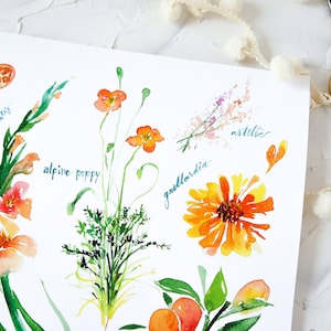 Op de afbeelding: Waterverf schilderij van verschillende bloemen, waaronder gladiolen, alpenpapaver, gaillardia en astilbe. De bloemen zijn geschilderd in tinten oranje, geel en roze.