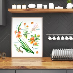 Op de afbeelding: Een aquarelprint van botanische illustraties met een gladiool, een takje dille, een takje mirte en een takje kumquat. De print is ingelijst en hangt aan een zwarte betegelde muur in een keuken.