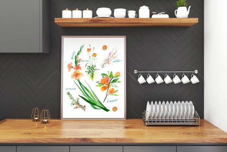 Op de afbeelding: Een aquarelprint van botanische illustraties met een gladiool, een takje dille, een takje mirte en een takje kumquat. De print is ingelijst en hangt aan een zwarte betegelde muur in een keuken.