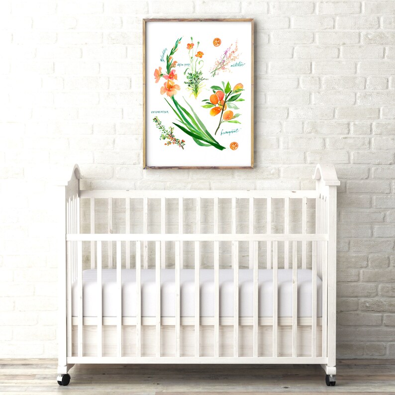Op de afbeelding: Een ingelijste aquarel-illustratie van oranje bloemen en fruit met hun namen in blauwe schrift. De bloemen en vruchten omvatten: Gladiool, abrikoos, Melissa, oranjebloesem en kumquat.