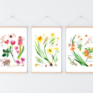 Op de afbeelding: Drie botanische aquarellen met verschillende bloemen. De eerste print toont roze en rode bloemen met groene bladeren en stengels. De tweede print toont gele bloemen met groene bladeren en stengels. De derde print toont oranje bloemen met groene bladeren en stengels.