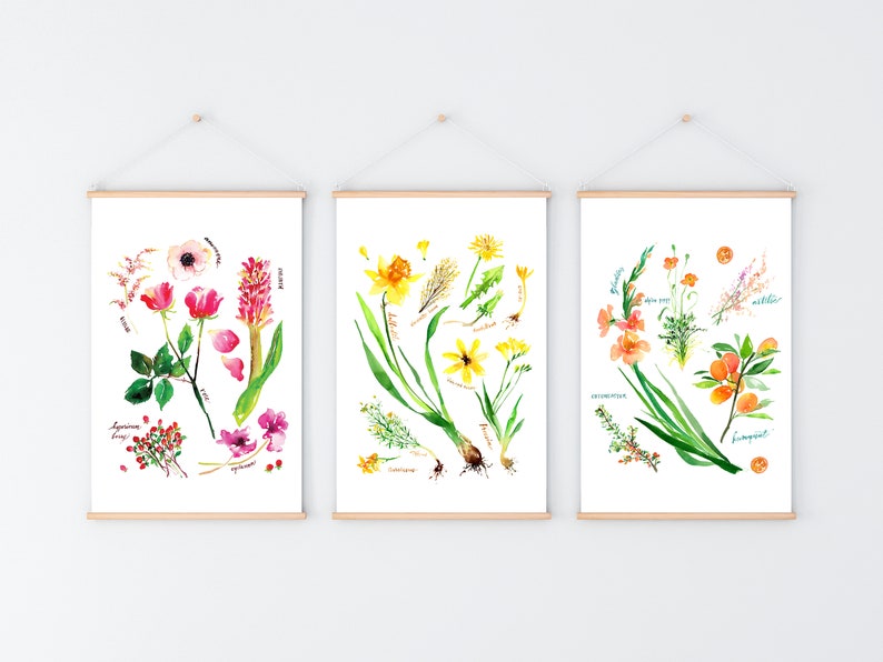 Op de afbeelding: Drie botanische aquarellen met verschillende bloemen. De eerste print toont roze en rode bloemen met groene bladeren en stengels. De tweede print toont gele bloemen met groene bladeren en stengels. De derde print toont oranje bloemen met groene bladeren en stengels.