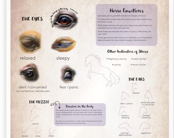 May include: A colorful chart titled "Horse Emotions" with illustrations of horse eyes, ears, and tails. The chart explains how to read a horse's body language and understand their emotions.