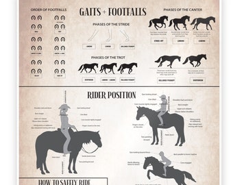 Op de afbeelding: Een zwart-witte infographic poster over paardengangen, voetstappen, ruiterpositie en hoe je veilig een ondeugend paard kunt rijden. De poster bevat illustraties van paarden en ruiters in verschillende posities.
