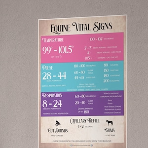 Equine Vital Signs Poster, TPR Horse Knowledge Equestrian Poster, Barn Poster for Horseback Riding Lesson Students and Instructors