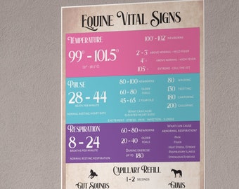 May include: A pink and blue infographic poster with the title "Equine Vital Signs". The poster lists normal and abnormal vital signs for horses, including temperature, pulse, respiration, capillary refill, and gut sounds. The poster also includes a visual guide to gum color.