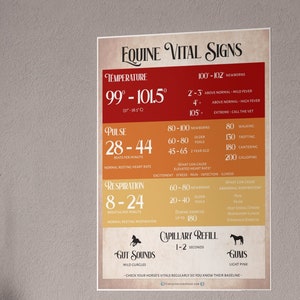 Equine Vital Signs Poster, TPR Horse Knowledge Equestrian Poster, Barn Poster for Horseback Riding Lesson Students and Instructors