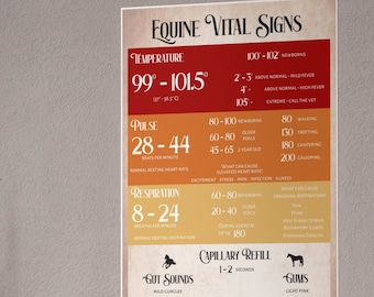 May include: A chart with a red, orange, and yellow gradient background showing normal vital signs for horses. The chart includes temperature, pulse, respiration, capillary refill, and gut sounds. The chart also includes a color guide for gums, with a light pink color indicating normal.