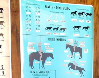 May include: A blue and white poster with illustrations of horses and riders. The poster includes information about horse gaits, footfalls, rider position, and how to safely ride a misbehaving horse. The poster also includes information about emergency dismounts.