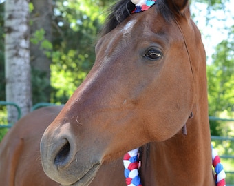 May include: A brown horse with a white unicorn horn headband and a red, white, and blue braided rope necklace.