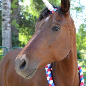 Red, White, & Blue Neck Sash for Horses and Ponies, 4th of July Parade Horse Costume, American Flag Horse Costume, Patriotic Horse Wreath