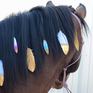 Mane Feathers for Horses and Ponies Feather Clip Equestrian Accessories Gold, Silver, Rose Gold, Pastel Rainbow, Peacock Feathers image 1