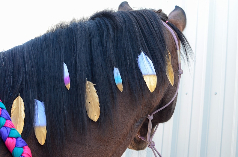 Mane Feathers for Horses and Ponies Feather Clip Equestrian Accessories Gold, Silver, Rose Gold, Pastel Rainbow, Peacock Feathers image 1