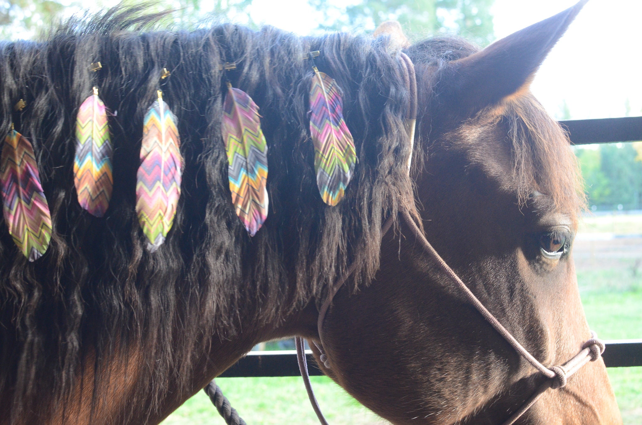 Colorful Plaid Mane Feathers for Horses and Ponies | Feather Clip  Equestrian Accessories for Manes \u0026 Tails | Costume for Horse - Etsy, image size:2048x1356