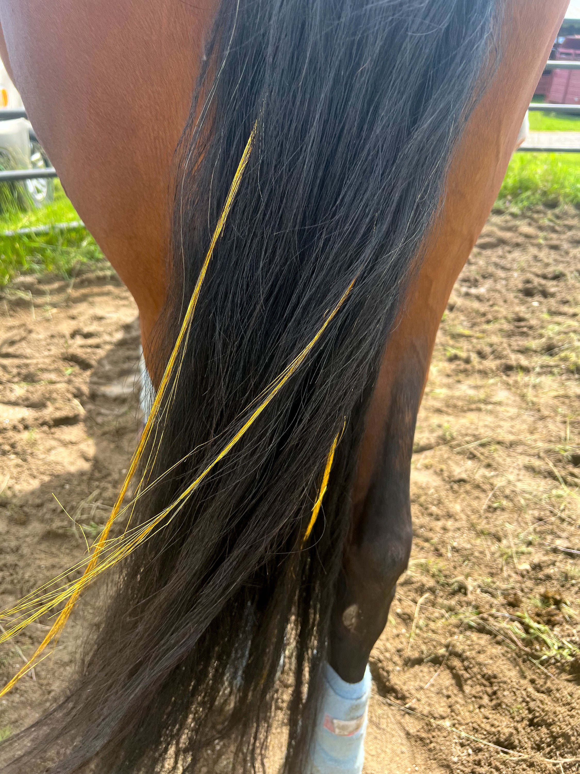 Set Di 40 Accessori Per Criniera E Coda Cavallo Con Glitter - Tinsel E Extension Colorate Con Strumento Incluso, Ideali Per Matrimoni E Feste Western - 5