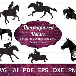 Cricut 用サラブレッド SVG、サラブレッド馬 SVG バンドル、競馬 SVG ベクター ファイル、ジャンプ馬 svg、サラブレッド クリップ アート png