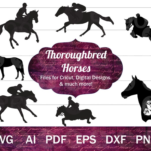 Thoroughbred SVG for Cricut, Thoroughbred Horse SVG Bundle, Horse Racing SVG Vector Files, Jumping Horse svg, Thoroughbred Clip Art png