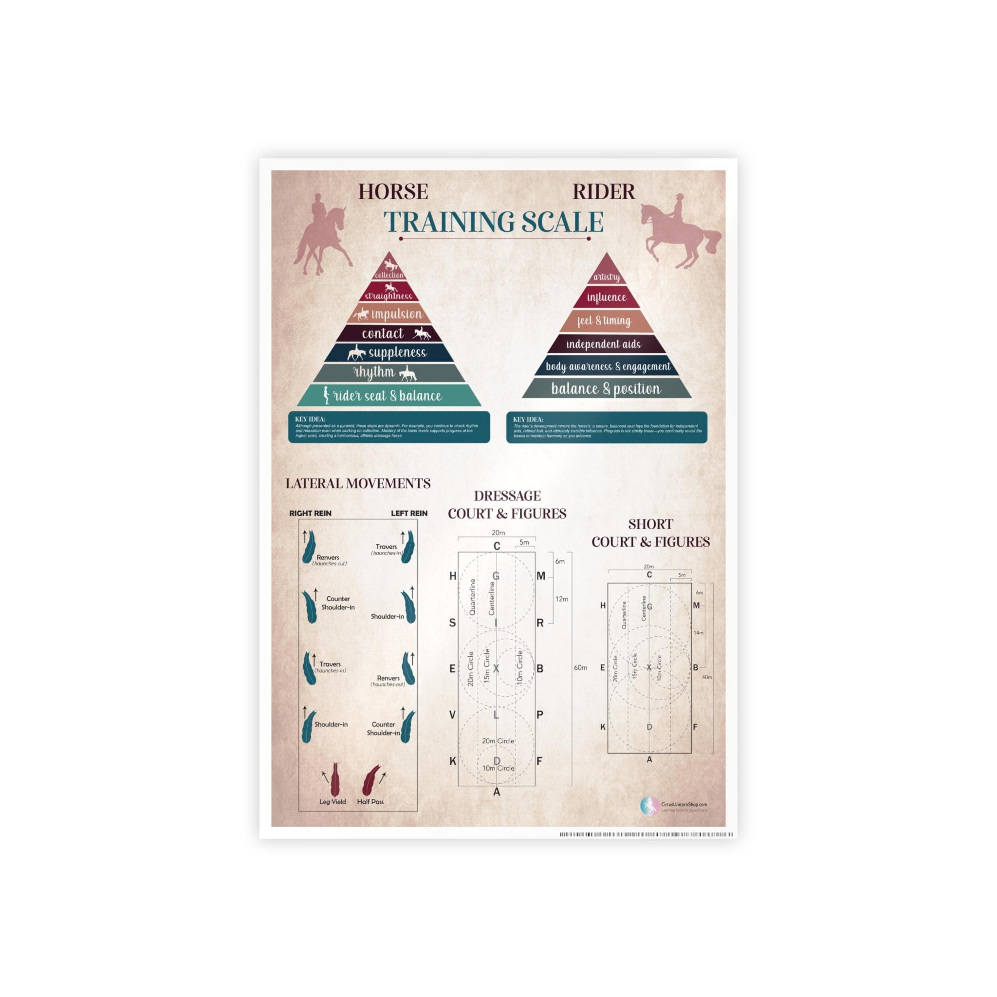 Training Scale Collection Dressage Horse Poster | Lateral Movements, Dressage Court, Figures, and ...