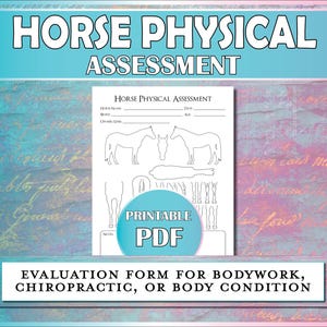 Pferd Fragebogen Fragebogen für Pferde Körper Zustand, Körperarbeit, Chiropraktik, Massage, Veterinärpflege, Pferdedaten - PDF Download
