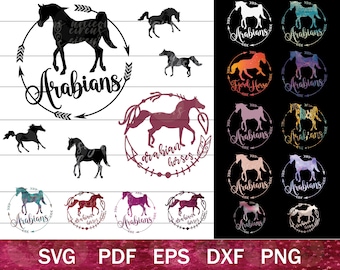 Arabian Horse SVG Bundle, Arabian Horse Clip Art, Arabian horse silhouettes PNG bundle, Arabian Horse Cut File for Cricut or Sublimation