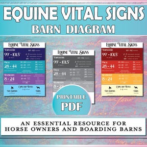 Signes vitaux équins à imprimer, affiche des signes vitaux du cheval, signe RPT équin, informations sur les urgences sanitaires en pension, soins équestres PDF