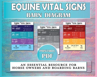 Equine Vital Signs Printable, Horse Vital Signs Poster, Equine TPR Sign, Boarding Barn Health Emergency Information, Equestrian Care PDF