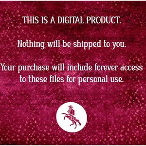 Horse Show SVG for Cricut / Horse Silhouette Vector Files / 10+ Western Pleasure & Hunt Seat Horse Cut Files for Crafting / Clip Art image 3