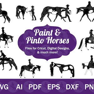 Paint Horse SVG per Cricut, Pinto Horse SVG, Horse Show SVG, Horse Show Clip Art, Pinto svg, Paint Horse png dxf, Western Pleasure horse svg