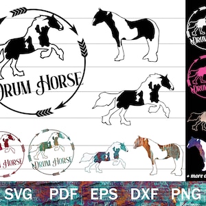 Paquete SVG de American Drum Horse, siluetas svg de Drum Horse, sublimación PNG de caballo gitano, diseño de camisa de raza de caballo de tiro, clip art ecuestre