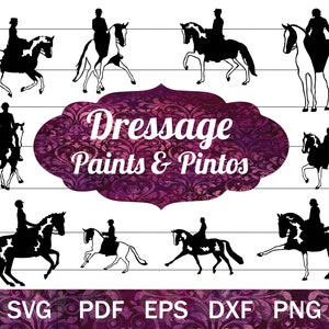 Dressage Paint Horse SVG Bundle, Dressage Clip Art PNG, Dressage Pinto Silhouette Cut Files for Crafting, Equestrian Dressage Clip Art