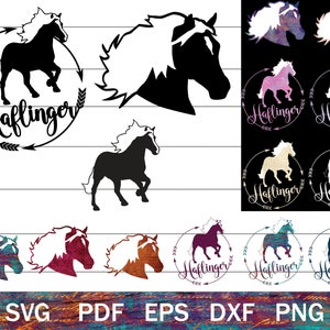 Può includere: Silhouette in bianco e nero di un cavallo con la parola "Haflinger" in un cerchio decorativo. L'immagine è ripetuta in vari colori e motivi sullo sfondo.
