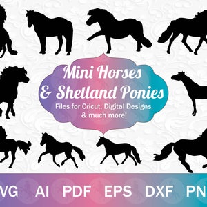 Miniature Horse e Shetland Pony SVG per Cricut / Pony SVG Bundle, Mini Horse SVG, Mini Horse shirt design, clipart pony, regalo pony