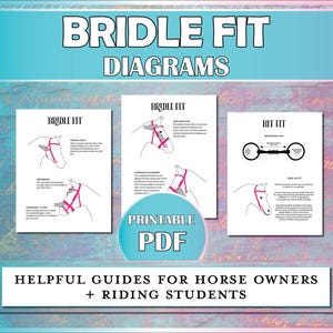 Op de afbeelding: Printbare PDF-diagrammen die laten zien hoe je een paardenhoofdstel en een bit correct kunt aanpassen. De diagrammen tonen het hoofd van een paard met een hoofdstel en een bit, en bevatten tekst die de juiste pasvorm voor elk deel van het hoofdstel en het bit beschrijft.