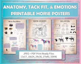 May include: Printable horse posters with the titles "Anatomy, Tack Fit, & Emotions." The posters include diagrams of horse anatomy, saddle fitting, and horse emotions. Available in various sizes, including 11x17 inches, 18x24 inches, and 24x36 inches.